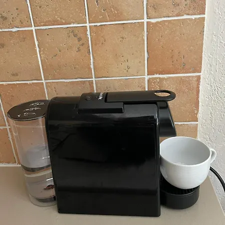 Ground Floor With Garden Daire