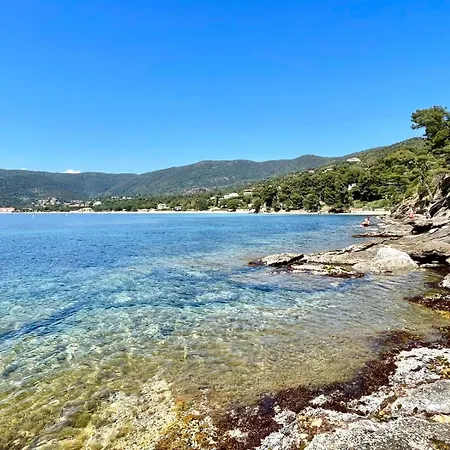 Daire Ground Floor With Garden Le Lavandou