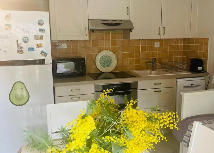 Ground Floor With Garden Le Lavandou