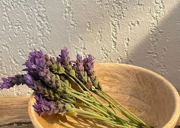 Daire Ground Floor With Garden