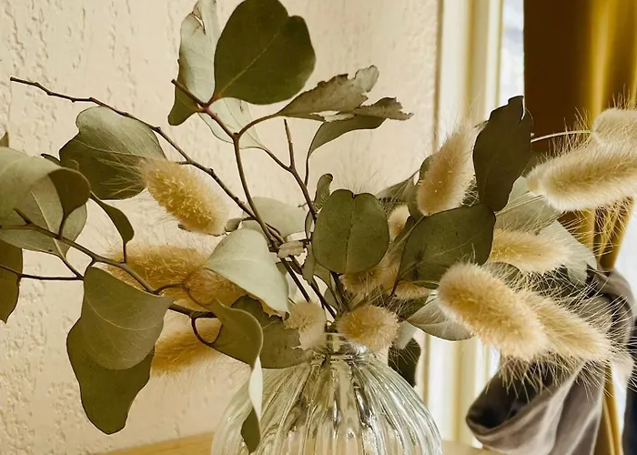 Ground Floor With Garden * Le Lavandou