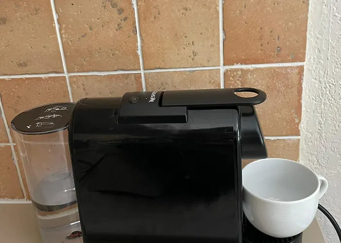 Ground Floor With Garden Daire