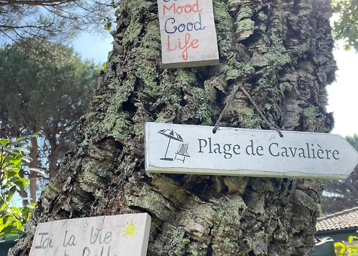 Daire Ground Floor With Garden