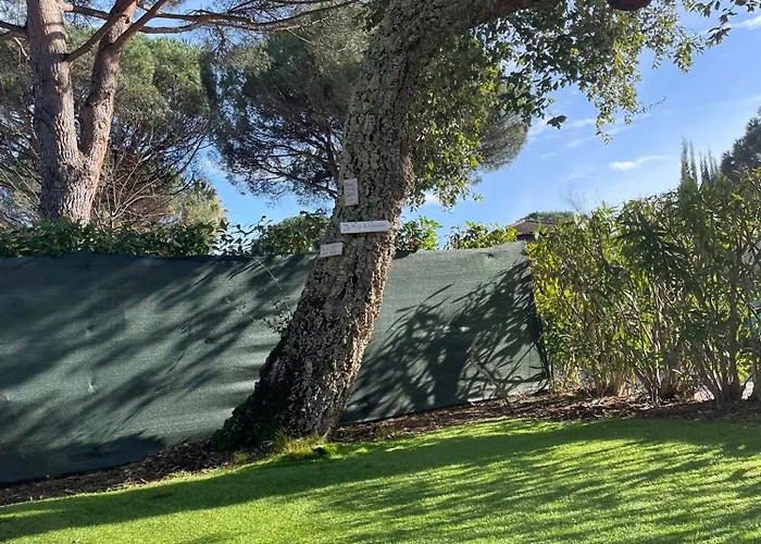 Ground Floor With Garden Daire