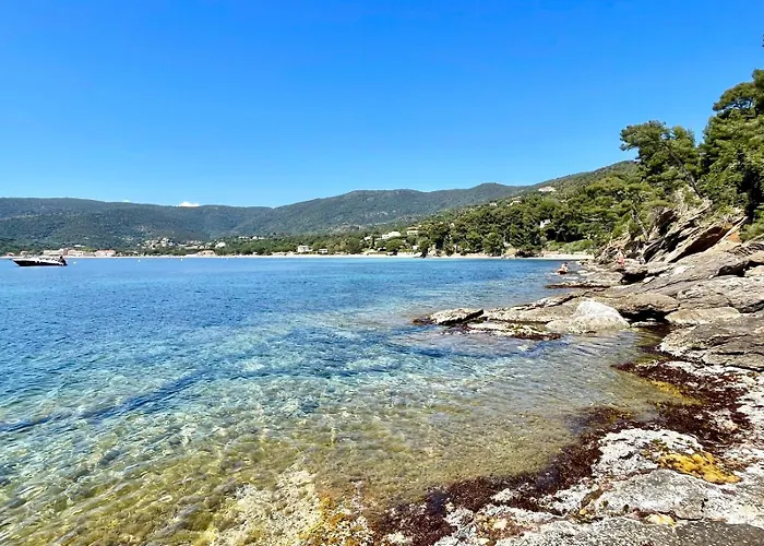 Daire Ground Floor With Garden Le Lavandou